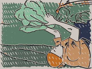 An Illustration of a woman picking spinach from an urban farm