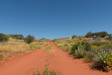 Red dirt road in the Red Centre, Northern Territory, Australia