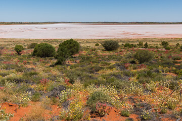 Dry salt lake in the Red Centre, Northern Territory, Australia