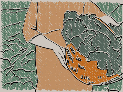 An Illustration of a female farmer holding a basket of chibwabwa