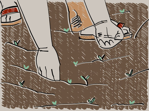 An Illustration of a female farmer planting seeds