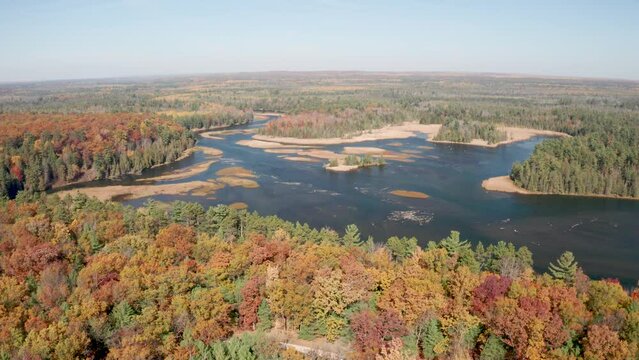 Au Sable River in Michigan with fall colors and drone video moving over trees.