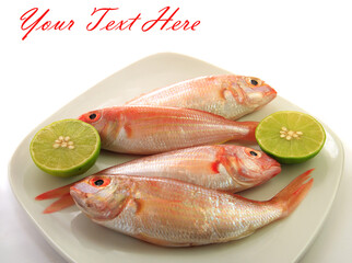 Dish of fish and seafood