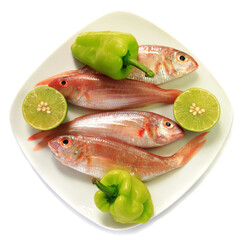 Dish of fish and seafood