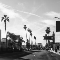 Hollywood Boulevard street landscape with palm trees in Los Angeles, California, USA, black and...