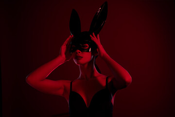 Photo of gorgeous lady wearing rabbit mask prepare for night club desire dancing isolated on maroon color background
