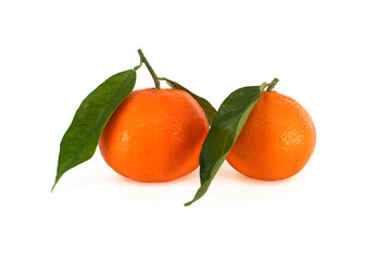 Mandarin orange, tangerines or clementines with leaves