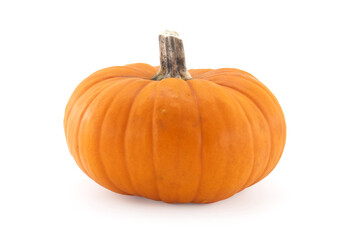 Pumpkin isolated on white background