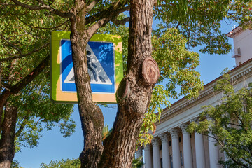 Crosswalk sign between two tree trunks with pruned branches. To the right is the theater building with columns. Cloudless blue sky. Selective focus.