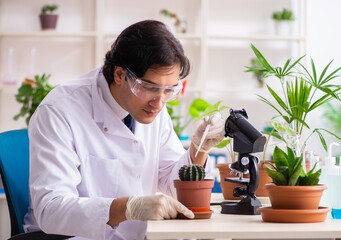Biotechnology chemist working in lab