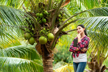 Asian happy female farmer with coconut tree at plantation in Thailand. The concept of exporting...