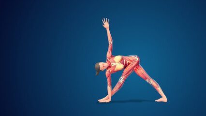 3D human Parivrtta Trikonasana yoga pose on blue background