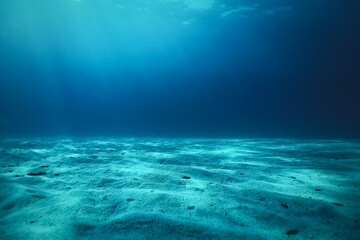 underwater world angle