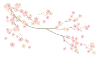 桜の枝の背景素材