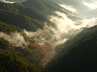 谷に発生した霧と紅葉