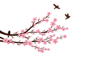 Cherry blossom branch with sakura flower Wall decoration Concept. Bird on branch wall decoration sticker design vector illustration