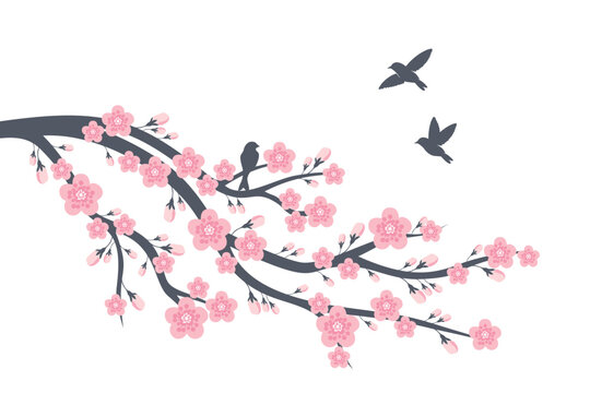 Cherry blossom branch with sakura flower Wall decoration Concept. Bird on branch wall decoration sticker design vector illustration