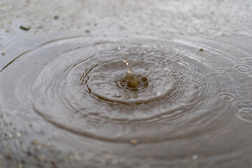 波紋　雨　水たまり