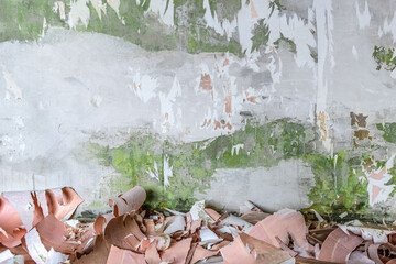 Pieces of pink paper wallpaper are scattered on the floor against the background of a lime-grey shabby wall with paint and cement stains. Repair in the apartment. Background with copy space