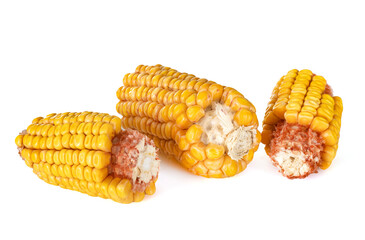 dried corn in studio