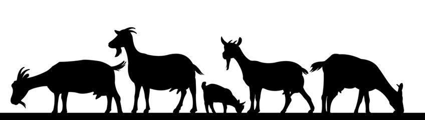 Goats grazing. Picture silhouette. Farm pets. Animals for milk and dairy products. Isolated on white background. Vector