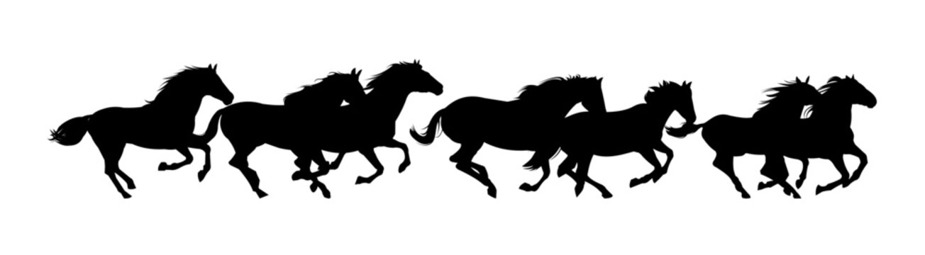 Herd of horses gallops fast. Image silhouette. Wild and domestic animals. Isolated on white background. Vector