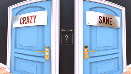 Fototapeta premium Crazy or Sane - a choice. Two options to choose from represented by doors leading to different outcomes. Symbolizes decision to pick up either Crazy or Sane.,3d illustration