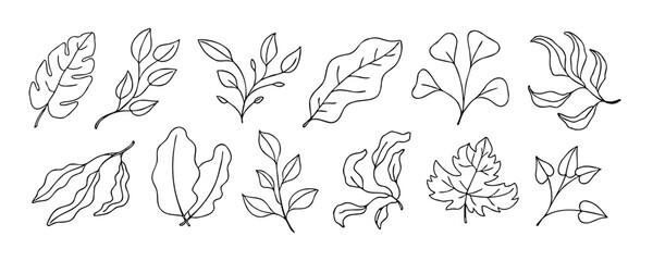 Leaves vector sketch set. Hand drawn decorative elements