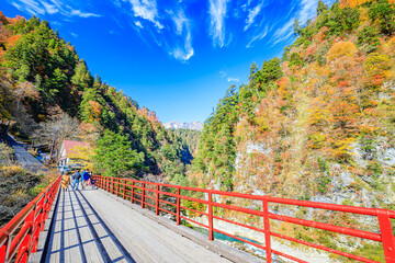 秋の黒部峡谷　奥鐘橋　富山県黒部市　Kurobe Gorge in Autumn. Okukane Bridge. Toyama Prefecture Kurobe city.