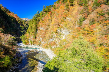 秋の黒部峡谷　欅平の景色　富山県黒部市　Kurobe Gorge in Autumn. View of Keyakidaira. Toyama Prefecture Kurobe city.