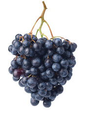 Grapes isolated on white