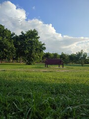 bench in the field