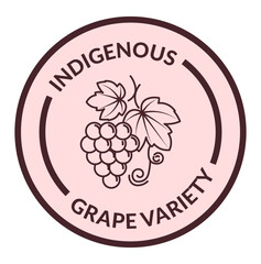 Indigenous grape variety, label for product vector