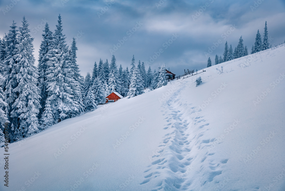 Wall mural beautiful winter scenery. magnificent outdoor scene of abandoned village. snowy morning view of carp