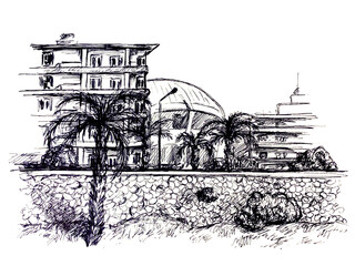 City Landscape, Line drawing. View of City buildings and palm trees. Black and white drawing on a white background.