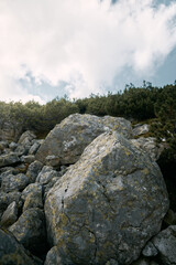 A single big rock in the forest. Concept of untouched nature in the mountains. A huge rock lying on the pathway in the woods.