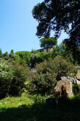 Garden in Rome, Italy