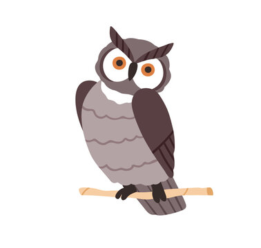 Cute owl sitting on tree branch. Funny night bird looking, watching with big bulging eyes. Adorable owlet on twig. Amusing eared birdie. Flat vector illustration isolated on white background