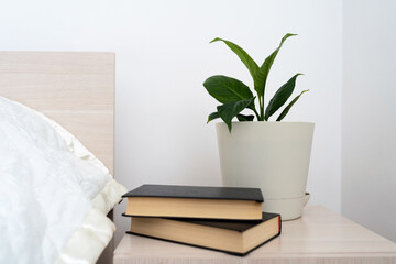 books on the bedside table