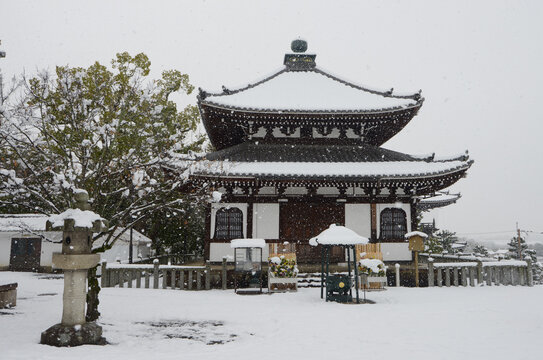 รูปภาพTorana เลือกดูภาพถ่ายสต็อก เวกเตอร์ และวิดีโอ1,766 Adobe Stock