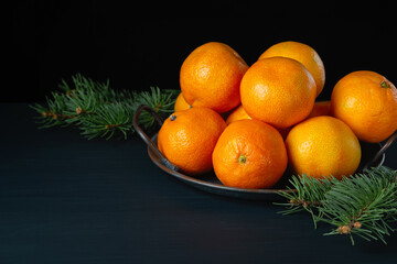 Fresh tangerines and a branch of a fir tree Russian Christmas and New year tradition