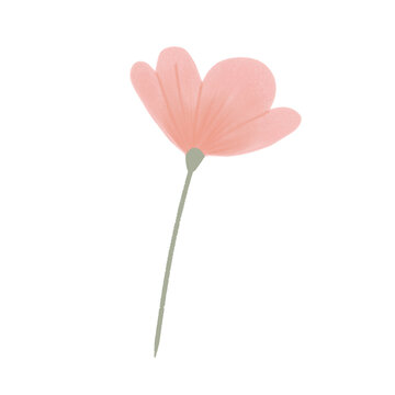 pink flower png illustration. Perfect for design of flyer, event, presentation, celebration, ornament, anniversary, etc