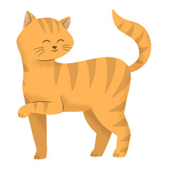 Fototapeta na wymiar cute orange cat illustration