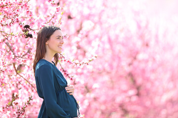Pregnant woman in a pink background