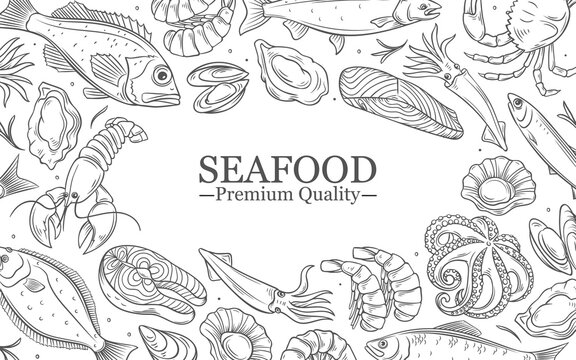 Seafood, premium quality vector illustration. Hand drawn line restaurant food menu design template with fresh fish and shrimp, lobster and squid, crab and salmon for dinner in seafood frame border