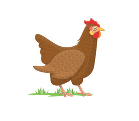 Brown hen isolated. Chicken picture. Farm bird. Farming, agriculture concept. Flat vector illustration.