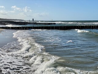 A wooden breakwater on the Baltic Sea protecting the shore from the waves