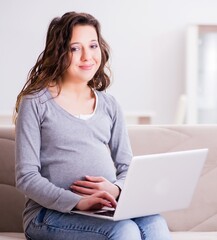 Naklejka premium Pregnant woman working on laptop sitting on sofa