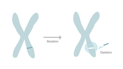 Obraz premium The mutation type : Deletion that showed the mutation site on chromosome