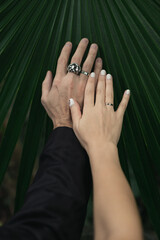 Close up wedding rings on hands concept photo. Summertime. Front view photography with green palm leaf on background. High quality picture for wallpaper, travel blog, magazine, article